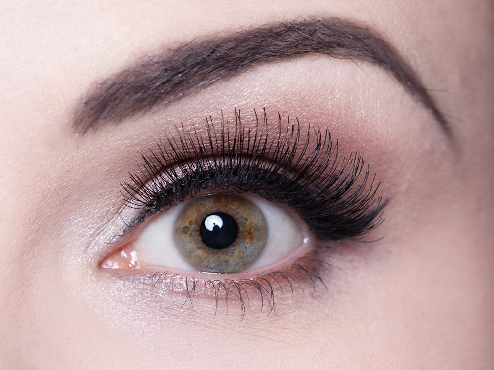 Clivia Wimpern Clivia Wimpern