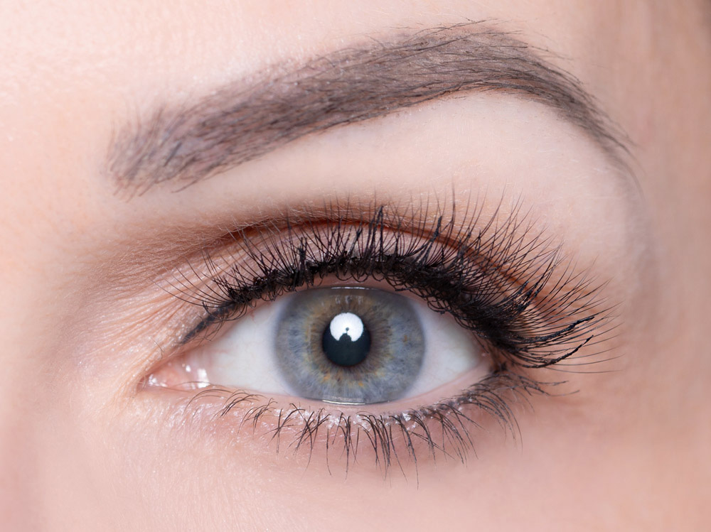 Hoodia Wimpern Hoodia Wimpern