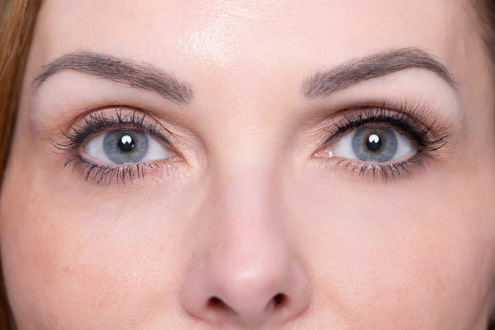 Hoodia Wimpern Hoodia Wimpern