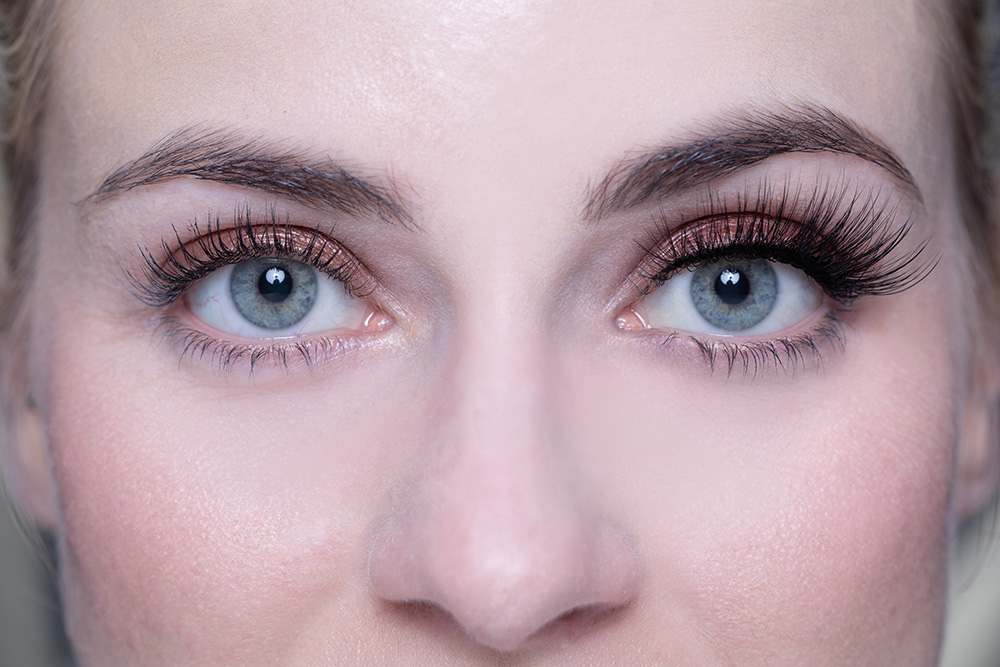 Maranta Wimpern Maranta Wimpern