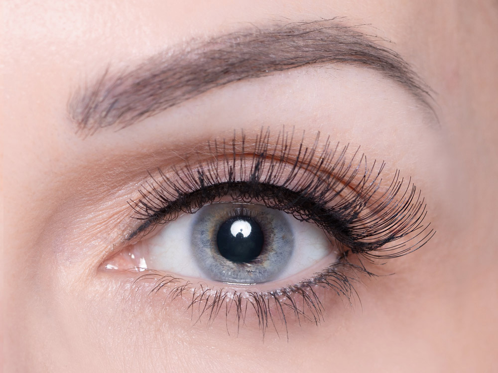 Orchis Wimpern Orchis Wimpern