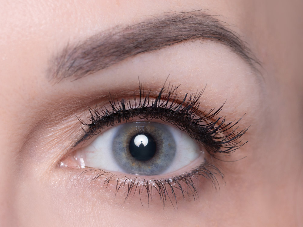 Zebrina Wimpern Zebrina Wimpern