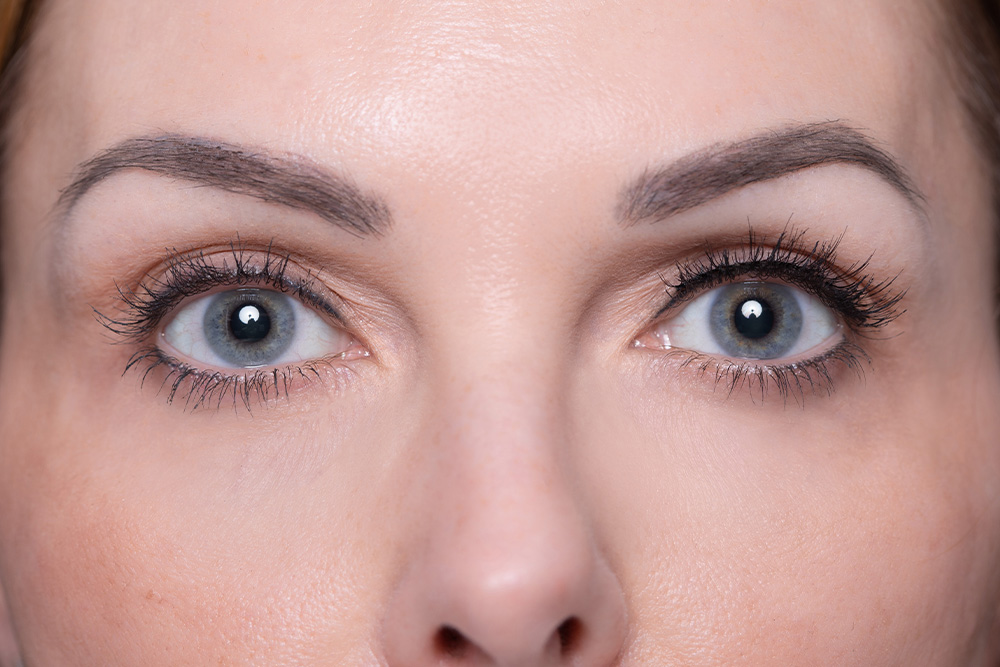 Zebrina Wimpern Zebrina Wimpern